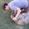 irish wolf en ander 076
