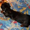 worsies- Rosamund 002